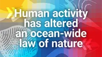 "Human activity has altered an ocean-wide law of nature" in front of stylized icons of various oceanic organisms