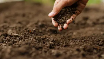A hand reaching for and grabbing soil